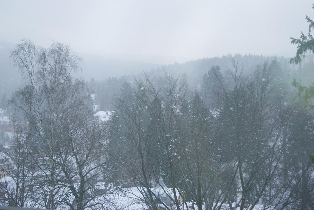 Villa Avangarda Szklarska Poreba Bilik gambar